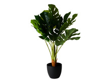 Konstväxt Monstera 75 cm